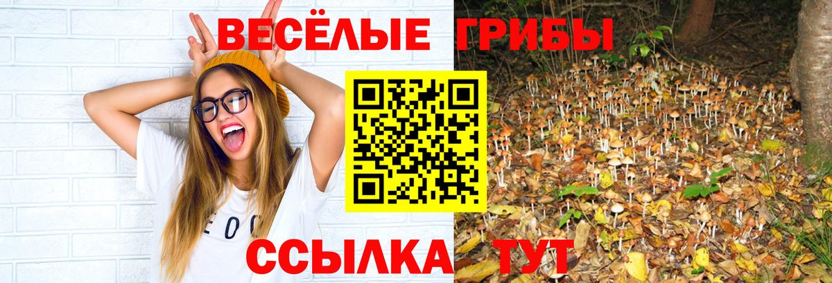 Псилоцибиновые грибы MAGIC MUSHROOMS  Вход с VPN  Лосино-Петровский 