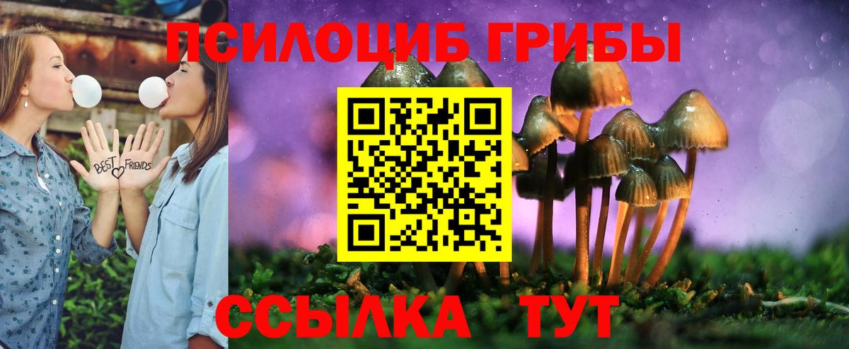 Галлюциногенные грибы Cubensis Лосино-Петровский